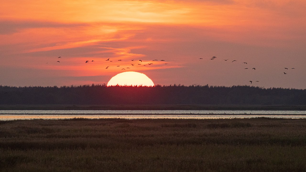&copy; Wei&szlig;e Flotte GmbH