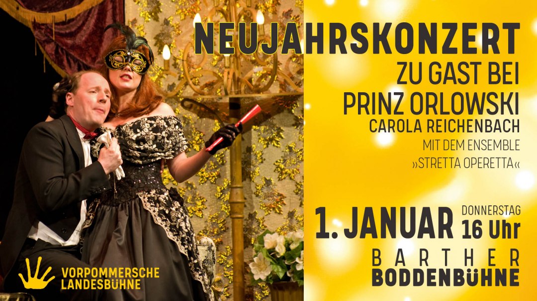 Die Fledermaus, © Carola Reichenbach Die Fledermaus, © Carola Reichenbach