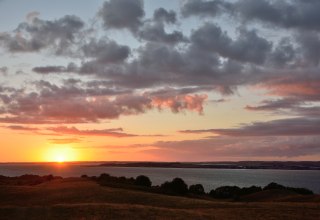 &copy; Naturf&uuml;hrer Rene' Geyer