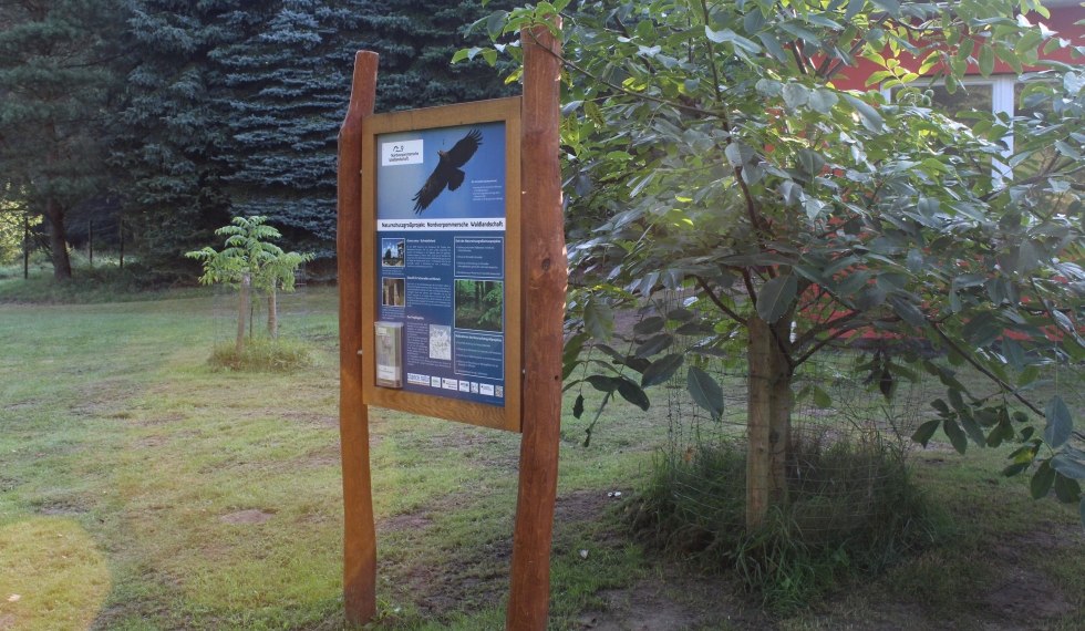 Infotafel Naturschutzgroßprojekt Nordvorpommersche Waldlandschaft // © Nicole Wasmund Infotafel Naturschutzgroßprojekt Nordvorpommersche Waldlandschaft // © Nicole Wasmund