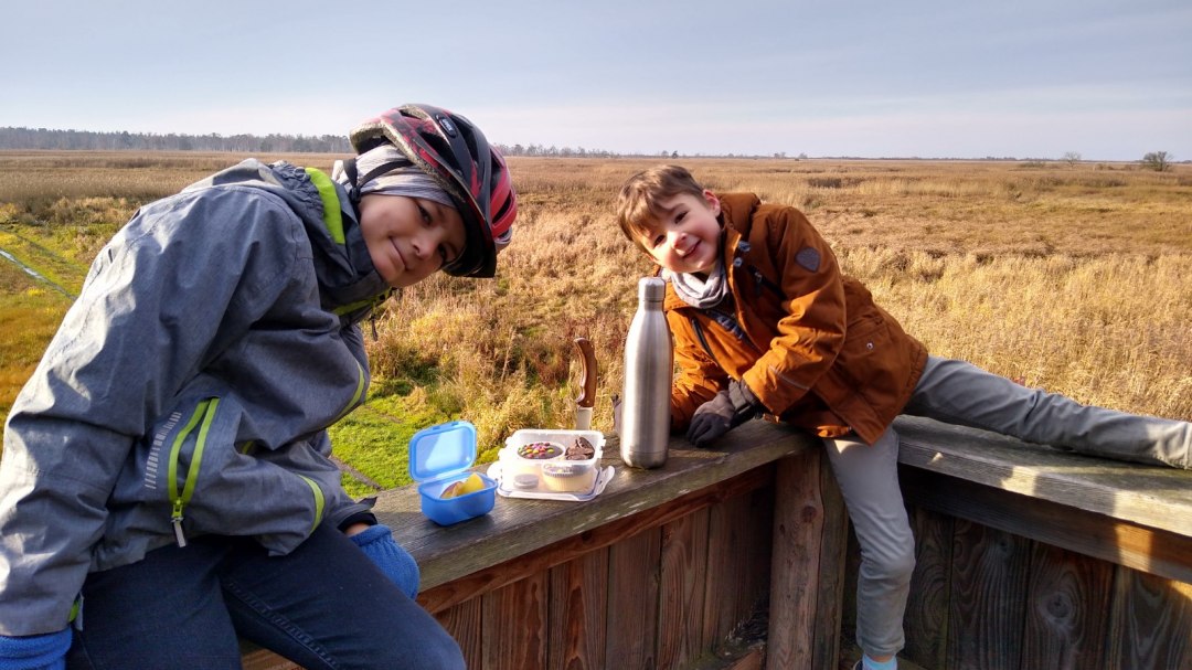 Nieuwsgierige ontdekkingsreizigers in het natuurreservaat Hütelmoor, © Olaf Schätzchen Nieuwsgierige ontdekkingsreizigers in het natuurreservaat Hütelmoor, © Olaf Schätzchen