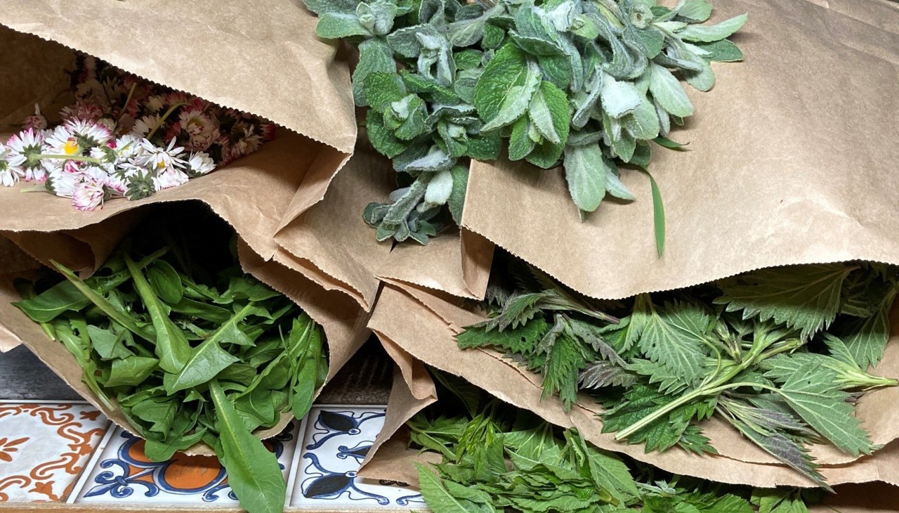 Wildkräuter, © Jolanta Grenke Wildkräuter, © Jolanta Grenke