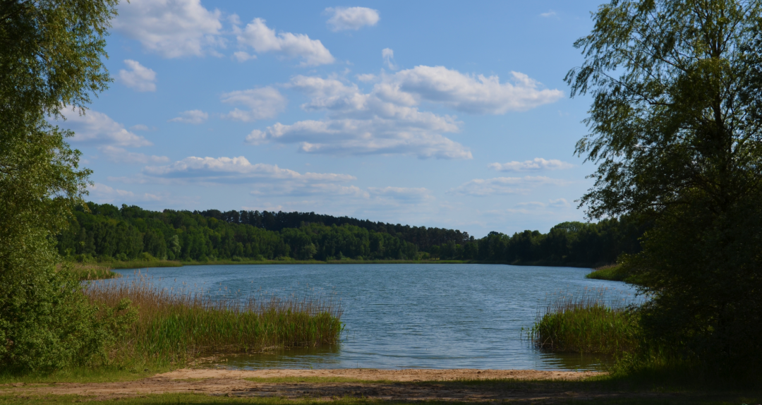 Cantnitzer See Badestelle Nordufer 1, &copy; Martin M&ouml;ller