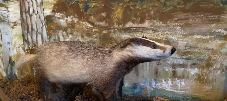 &copy; Amt Mecklenburgische Kleinseenplatte