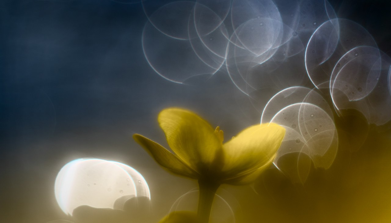 Vintagefotografie mit alten Objektiven, &copy; Ralf Mitterm&uuml;ller