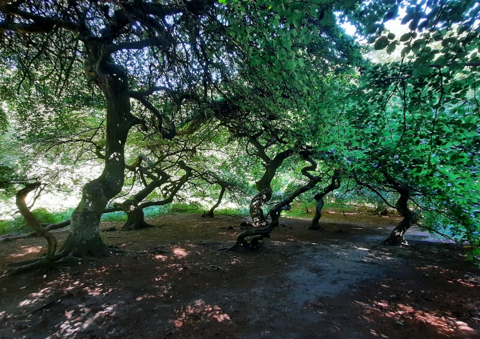 eigenes Foto, © eigenes Foto eigenes Foto, © eigenes Foto