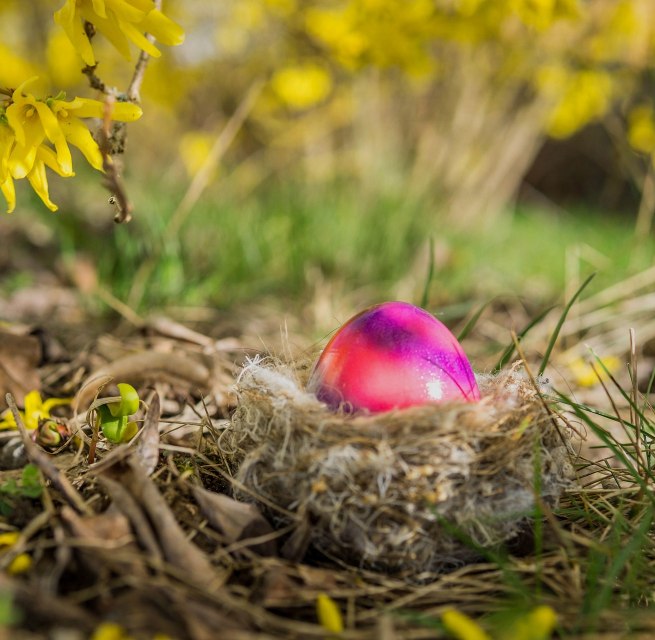 &copy; easter-egg-7894939_1920 (1).jpg