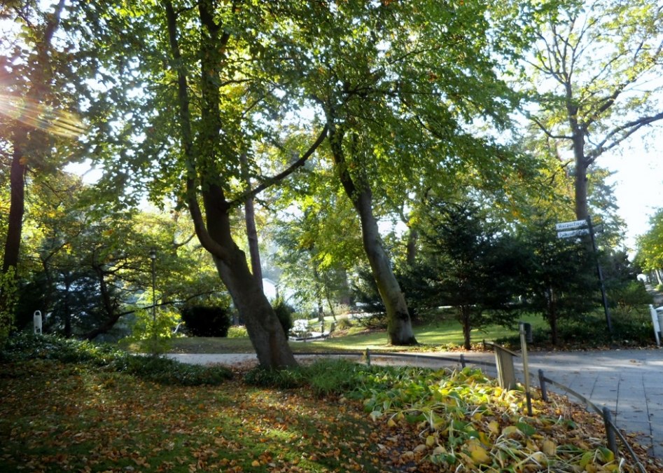 Der Kurpark im Ostseebad Binz., © Tourismuszentrale Rügen Der Kurpark im Ostseebad Binz., © Tourismuszentrale Rügen