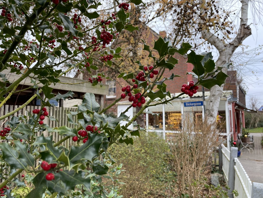 &copy; TZ S&uuml;dliche Boddenk&uuml;ste