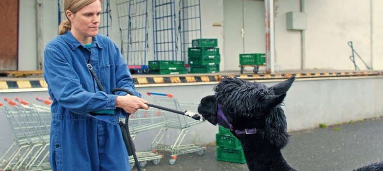 © Neue Visionen Filmverleih GmbH