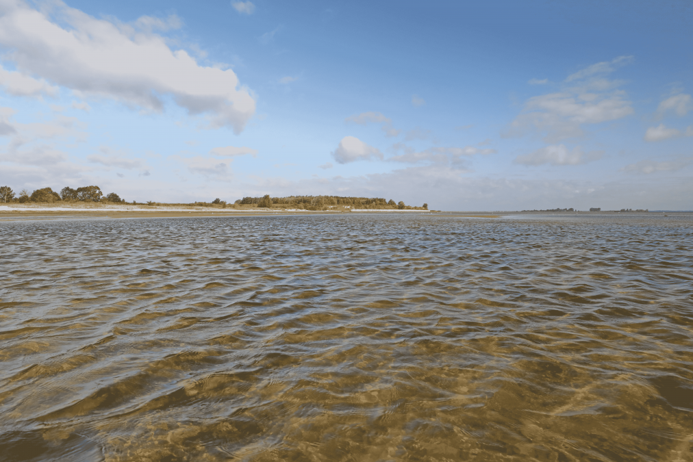 Naturstrand Wampen, © TMV/Gohlke Naturstrand Wampen, © TMV/Gohlke