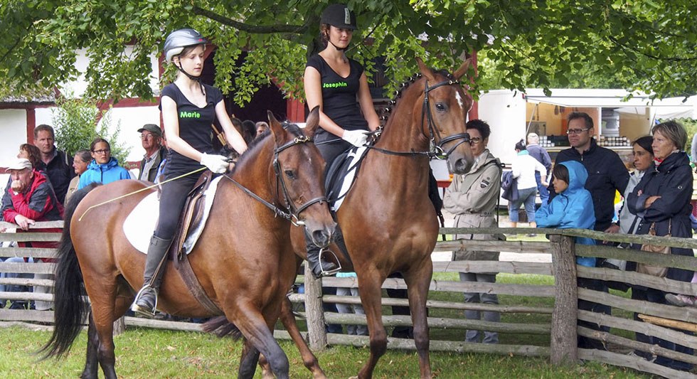Heute dreht sich im Freilichtmuseum Klockenhagen alles um die Pferde. // &copy; Freilichtmuseum Klockenhagen