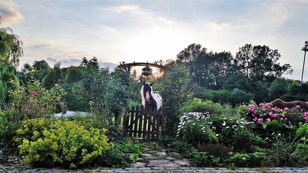 Dula's sprookjesuur op manege Reinecke, &copy; Elisabeth Reinecke