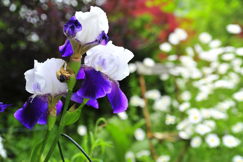 Vorpommerns Natur entdecken, © Tourismusverband Vorpommern e.V. Vorpommerns Natur entdecken, © Tourismusverband Vorpommern e.V.