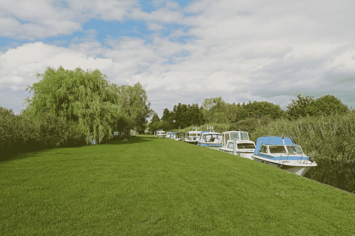 Anlegestelle an der Wiese // © MV-T/Gohlke Anlegestelle an der Wiese // © MV-T/Gohlke