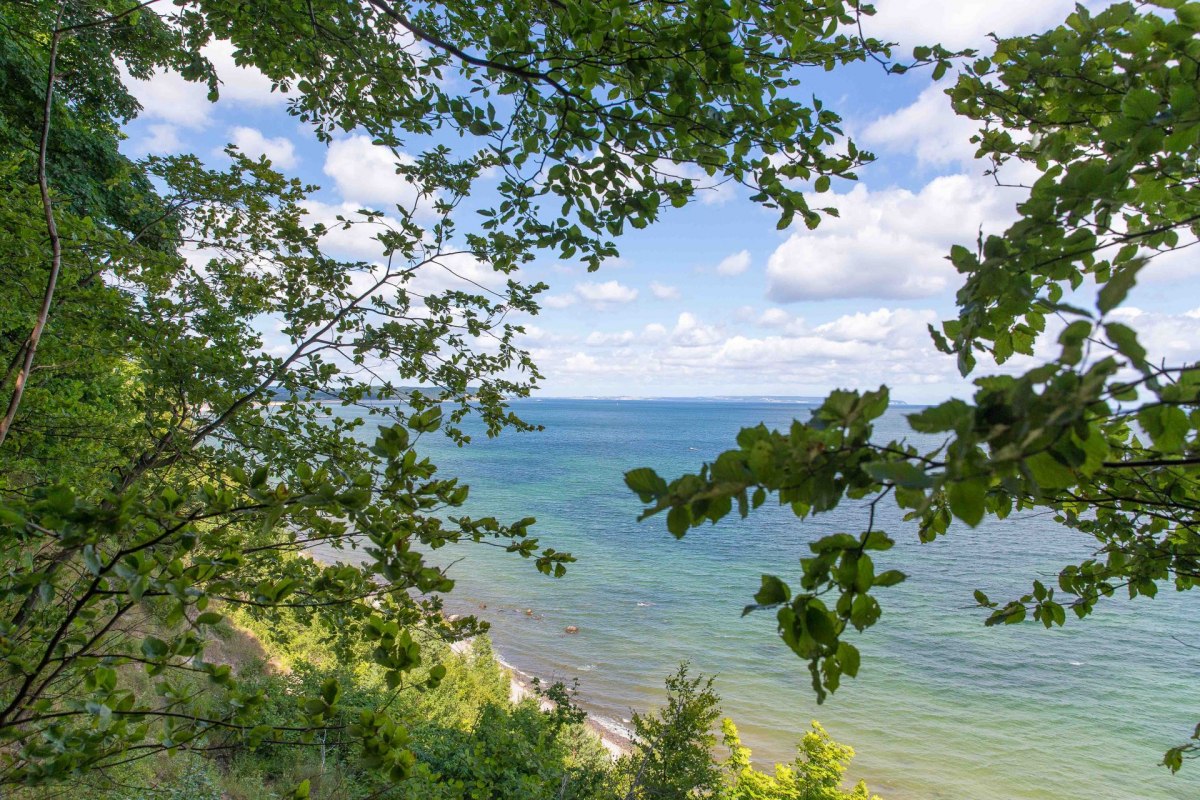 Rangerfuehrung zum Goehrener Nordperd (c) Kurverwaltung Goehren Martin Stoever _2015_62P6780, &copy; Kurverwaltung Goehren / Martin Stoever
