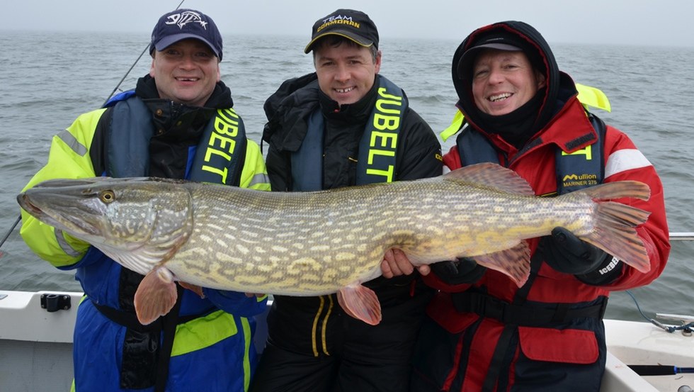 Grote snoeken zijn niet ongewoon in de Bodden-wateren // &copy; Guido Jubelt