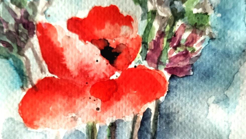 Aquarellbild Mohn, © Simone Boll Aquarellbild Mohn, © Simone Boll