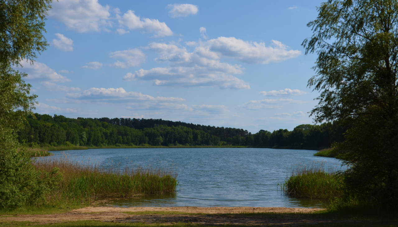 Cantnitzer See Badestelle Nordufer 1, &copy; Martin M&ouml;ller