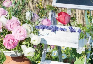 &copy; fotolia/fotoknips