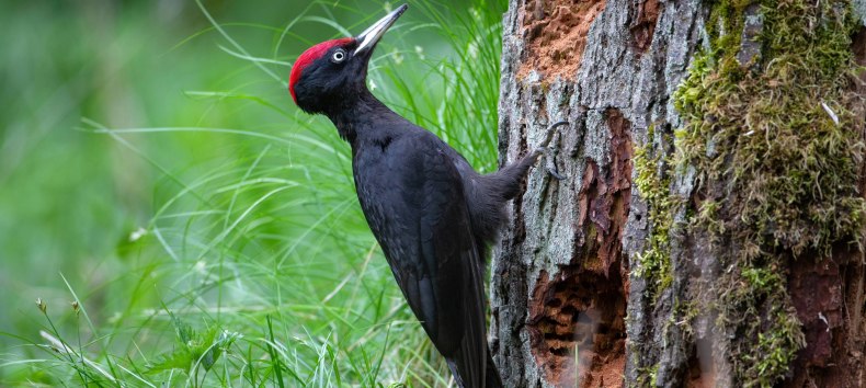 &copy; Oliver Richter