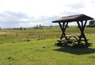 Blick Rastplatz mit Salzwiesen im Hintergrund // &copy; Kurverwaltung Insel Poel