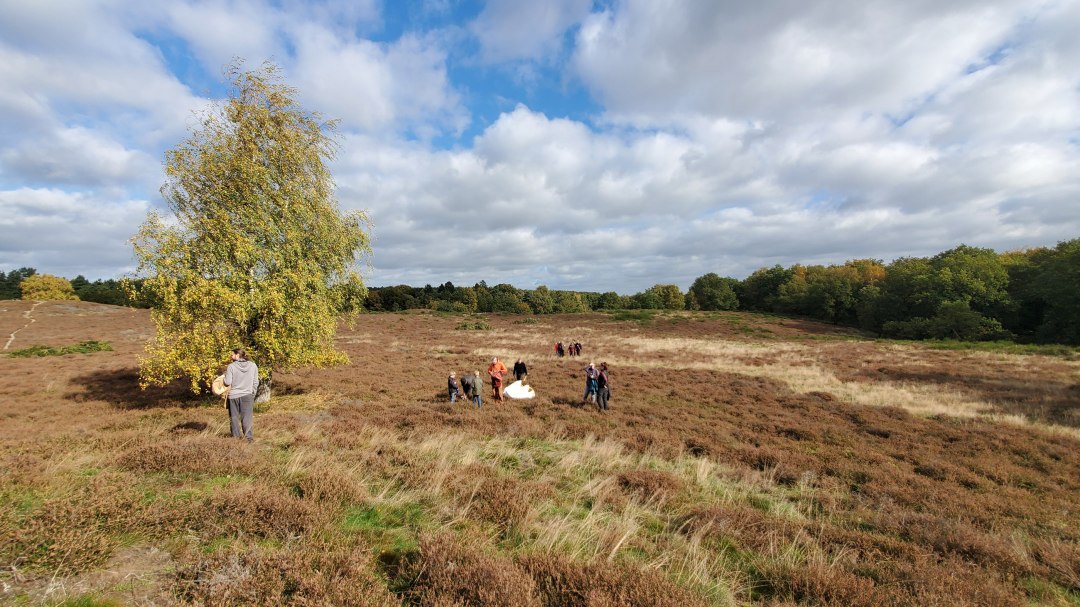 Heidepflege 2025, © D. Foitlänger Heidepflege 2025, © D. Foitlänger