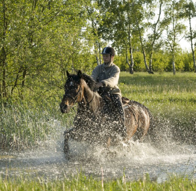 Auf ihrem Tagesritt durchreitet die Reiterin einen Teich entlang des Weges // © MV-T/ Hafemann Auf ihrem Tagesritt durchreitet die Reiterin einen Teich entlang des Weges // © MV-T/ Hafemann