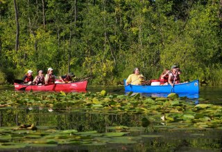 gef&uuml;hrte Kanutour ins Seerosenparadies ab Kanubasis Mirow // &copy; SeenLandAgentour GmbH