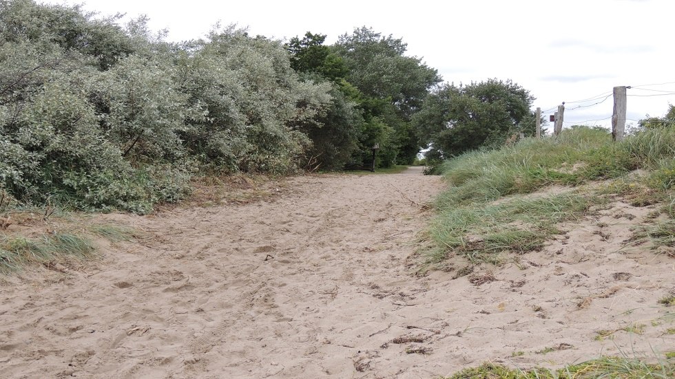 Blick Weg zum Strand // © Kurverwaltung Insel Poel Blick Weg zum Strand // © Kurverwaltung Insel Poel