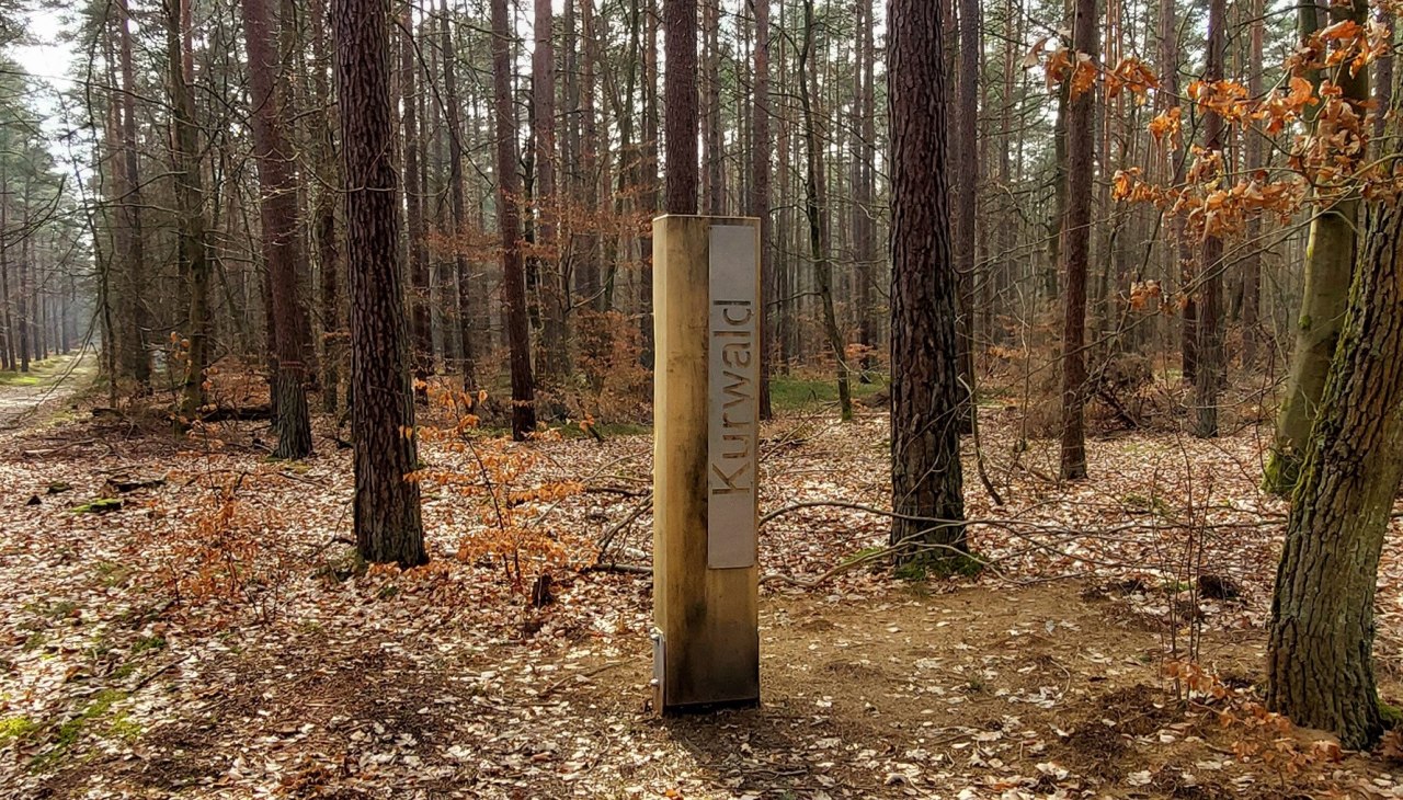 Kurwald 1 quer, © Waren (Müritz) Kur- und Tourismus GmbH Kurwald 1 quer, © Waren (Müritz) Kur- und Tourismus GmbH
