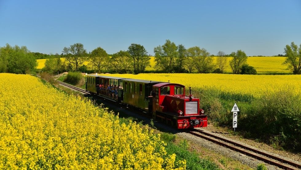De L&uuml;tt Kaffeebrenner zwischen Rapsfeldern // &copy; Stiftung Deutsche Kleinbahnen, B. Lotzow