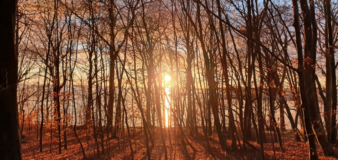Waldbaden Winter (c) Kurverwaltung Goehren, © Kurverwaltung Goehren / Martin Stoever Waldbaden Winter (c) Kurverwaltung Goehren, © Kurverwaltung Goehren / Martin Stoever