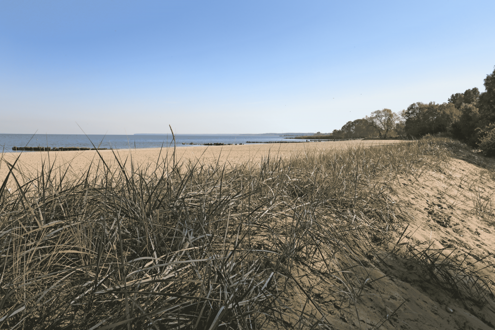 Surfspot Ueckerm├╝nde_7, © TMV/Gohlke Surfspot Ueckerm├╝nde_7, © TMV/Gohlke