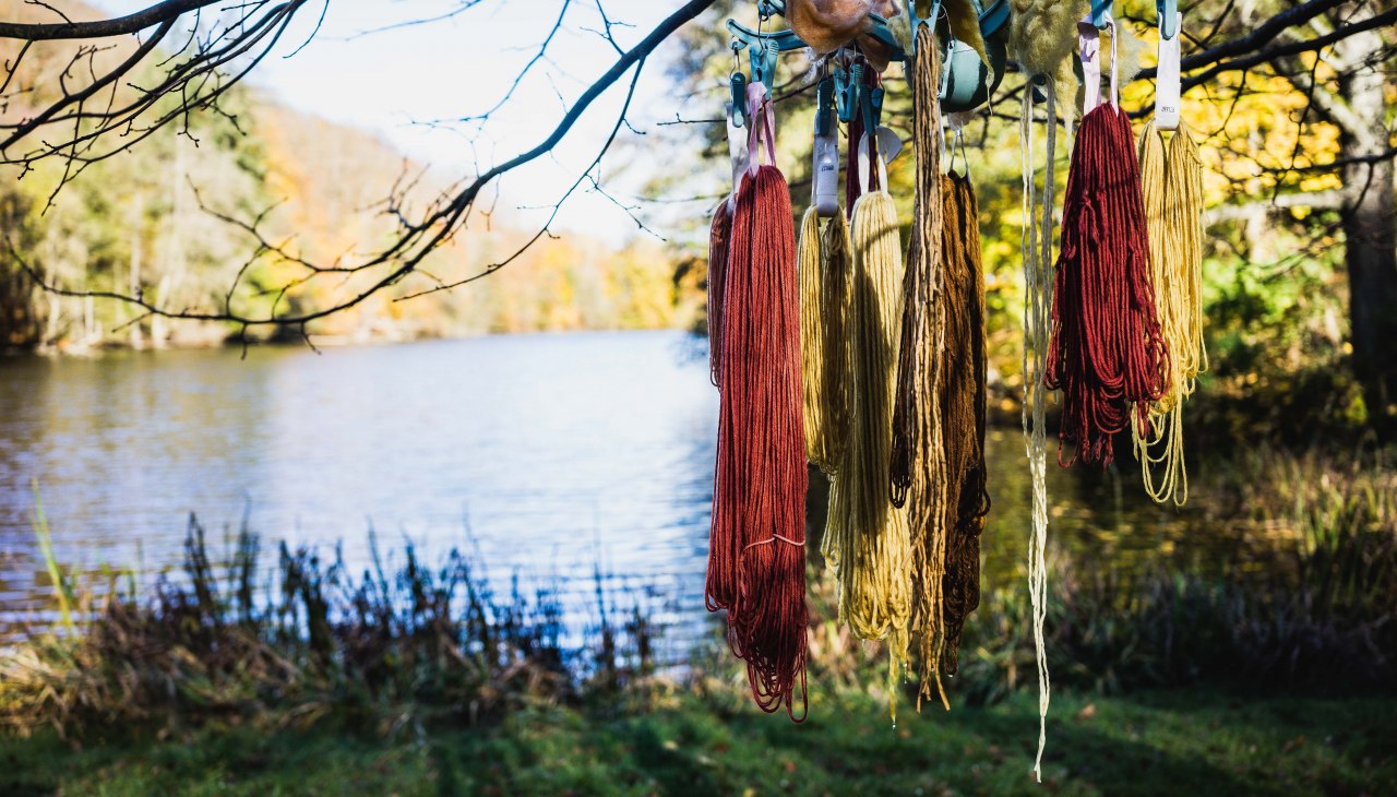 Ausbildung Pilzcoach, © Heike Brechler Ausbildung Pilzcoach, © Heike Brechler