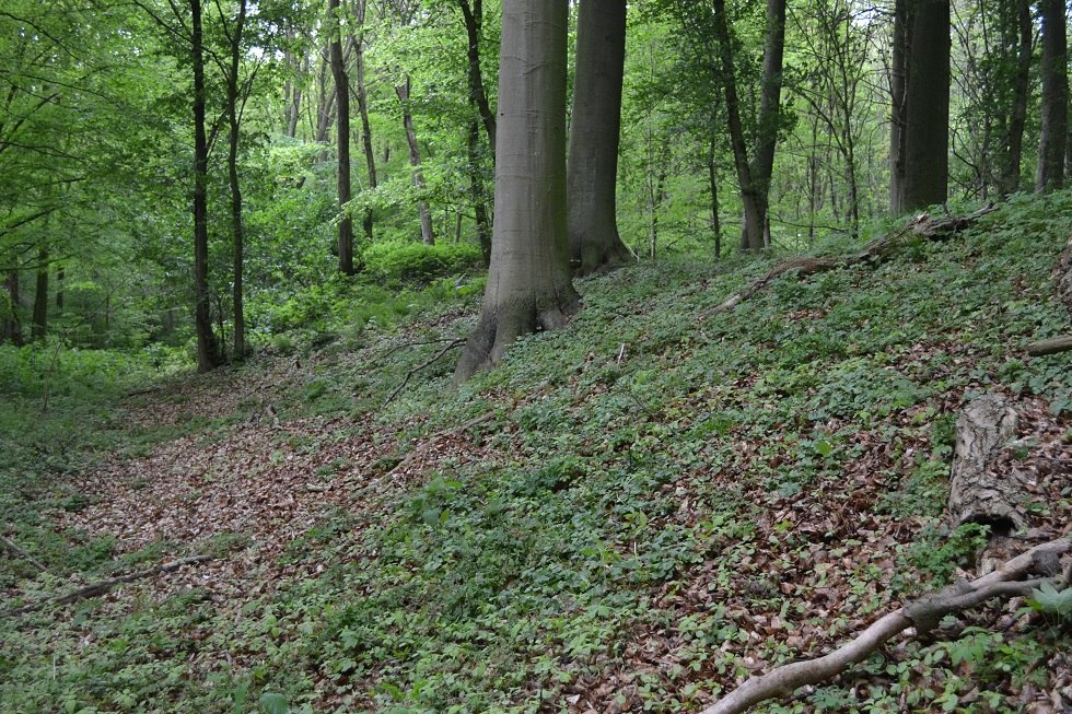 Hoogte van de Schwedenschanze aan de landzijde // © Lutz Werner Hoogte van de Schwedenschanze aan de landzijde // © Lutz Werner