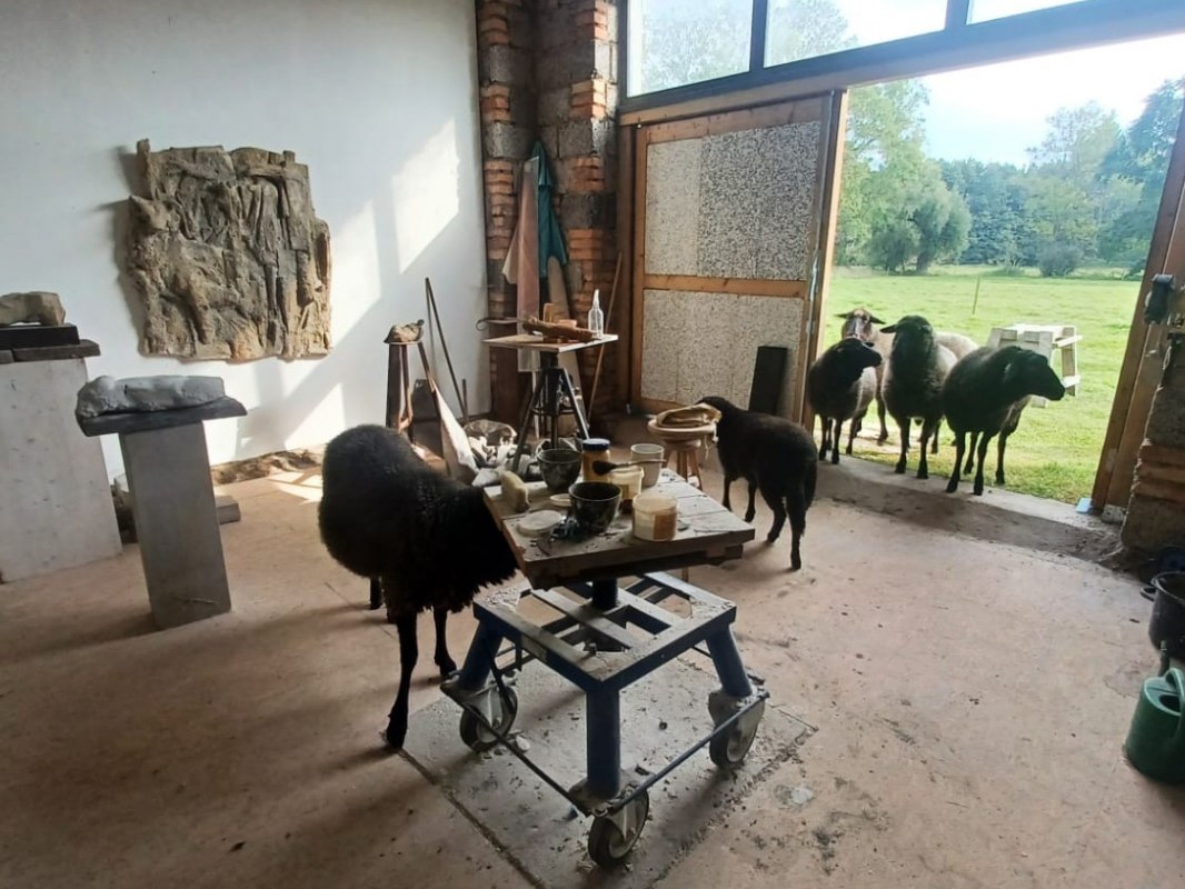 &copy; Wolfgang Baumann