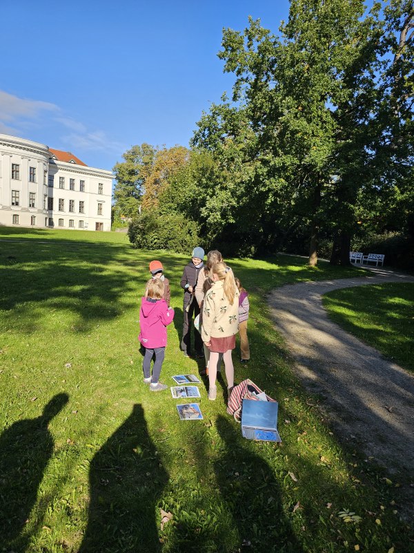 &copy; TI Bad Doberan