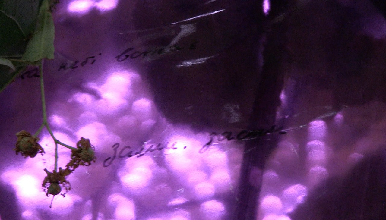 Annette Czerny, &copy; Annette Czerny