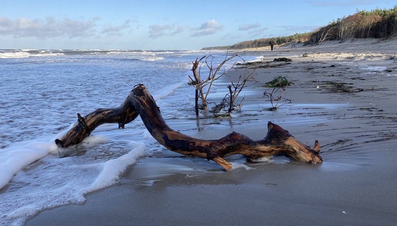 West-strand, © K. Baerwald West-strand, © K. Baerwald