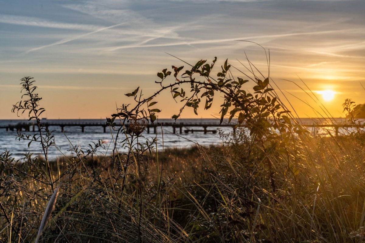 © Lars Wehrmann © Lars Wehrmann