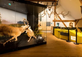 © Moritz Kertzscher © Moritz Kertzscher