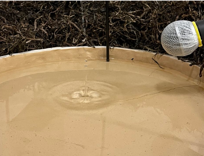 © Jugendkunstschule Vorpommern-Rügen e.V. © Jugendkunstschule Vorpommern-Rügen e.V.