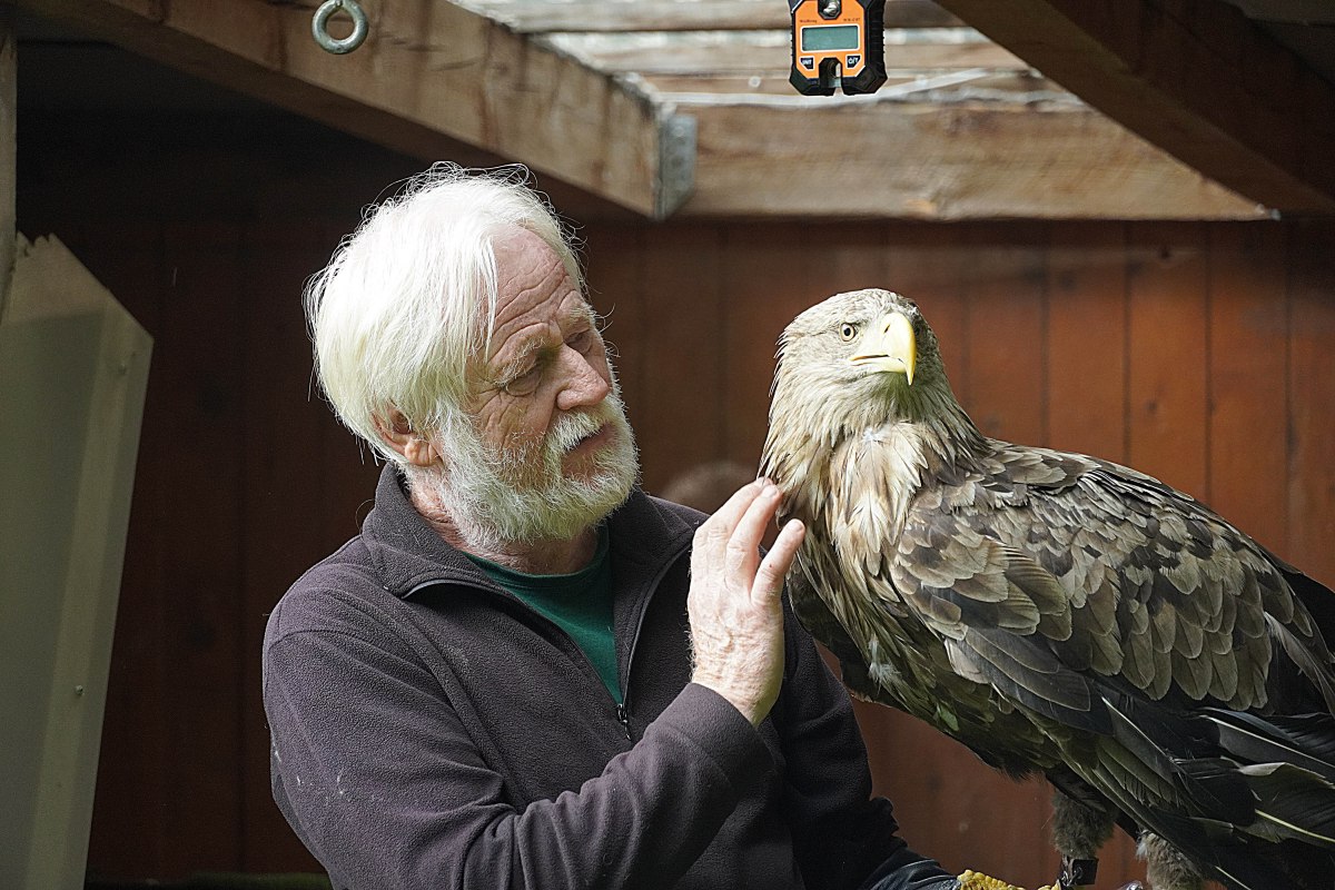 Falkner Ulrich Reppenhagen // &copy; Kleine-M&ouml;ller