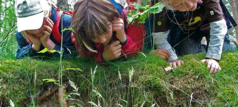 Spurensuche f&uuml;r Gro&szlig; und Klein // &copy; Foto: Nationalparkamt M&uuml;ritz