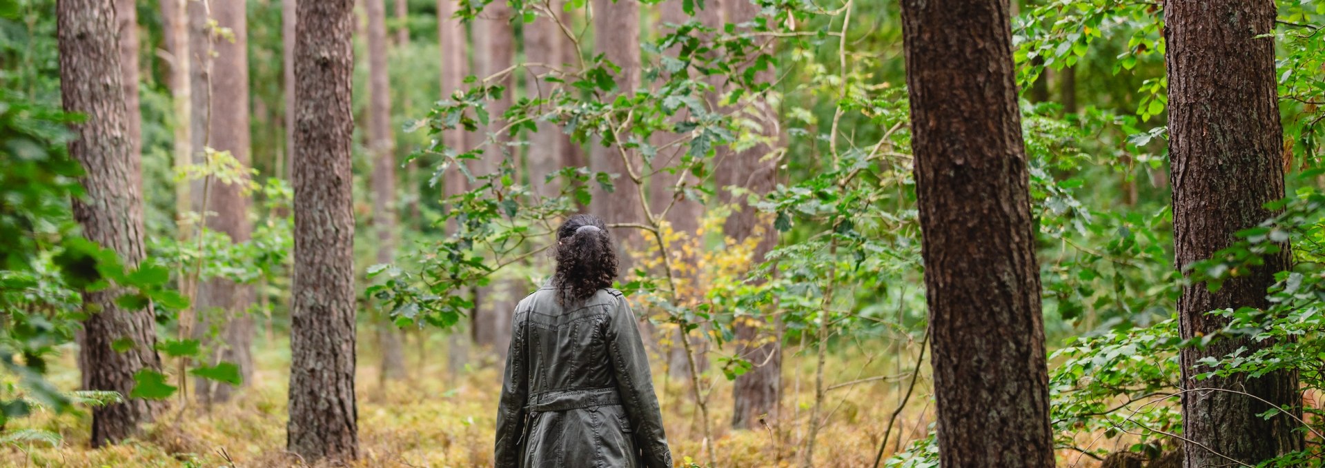 Zwischen den gigantischen Kiefern in den weitl&auml;ufigen Wald- und Moorgebieten rund um das Ostseebad Graal-M&uuml;ritz wirkt der Mensch ganz klein. Hier kann die Natur sich entfalten &ndash; und die Wildkr&auml;uter wachsen pr&auml;chtig. , &copy; TMV/Gross
