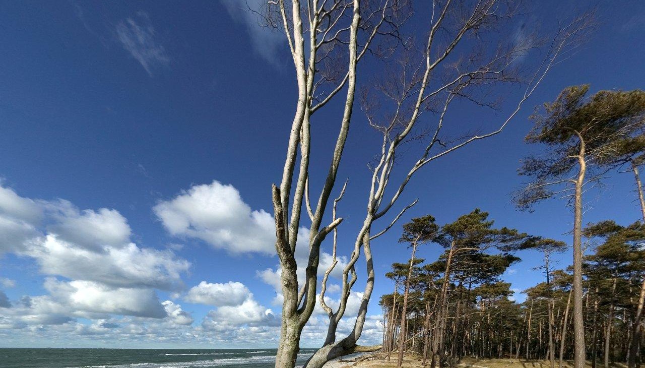 Weststrand, © TV FDZ Weststrand, © TV FDZ