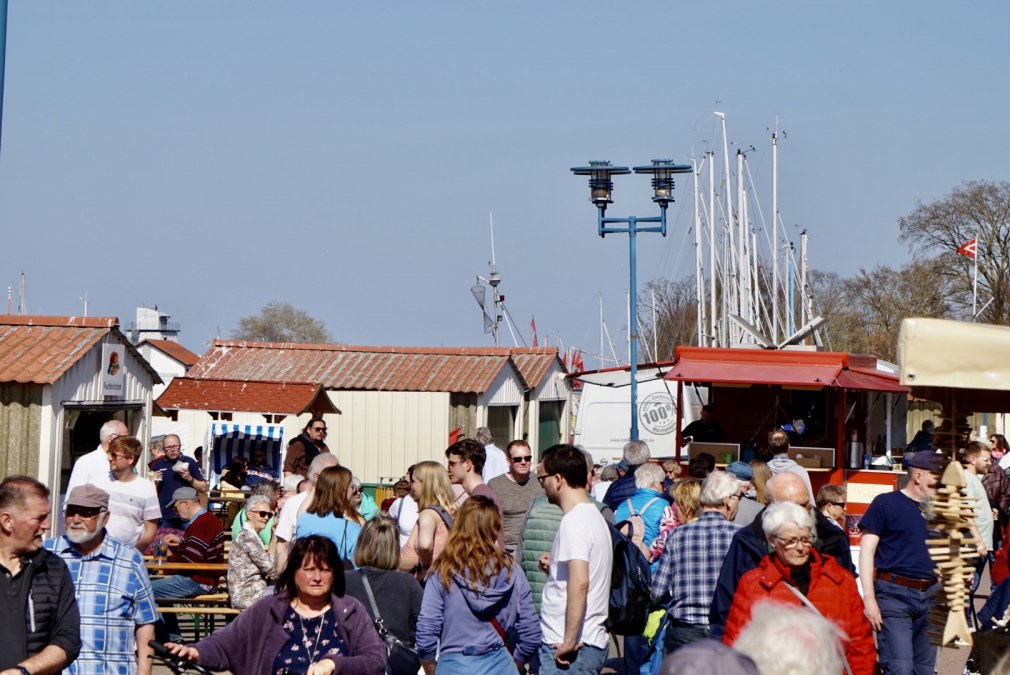 Frische Heringe und viele regionale Händler auf dem Vorpommern-Fischmarkt., © Gudrun Koch Frische Heringe und viele regionale Händler auf dem Vorpommern-Fischmarkt., © Gudrun Koch