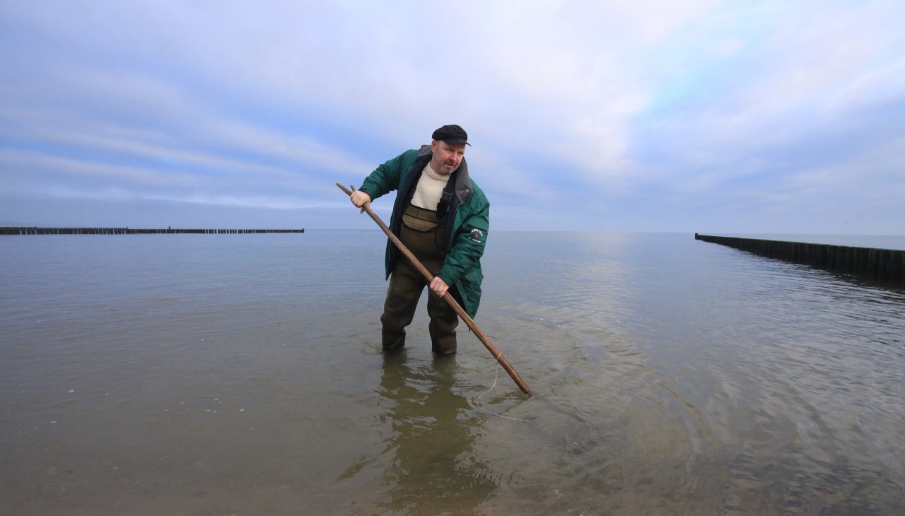 Geführte Bernsteinsuche am Strand mit Thomas Reich, © Bernsteinsuche Geführte Bernsteinsuche am Strand mit Thomas Reich, © Bernsteinsuche