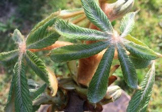 © IMG_7734.JPG © IMG_7734.JPG